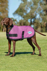 Weatherbeeta Comfitec Classic Hundemantel (25-40cm) Hund