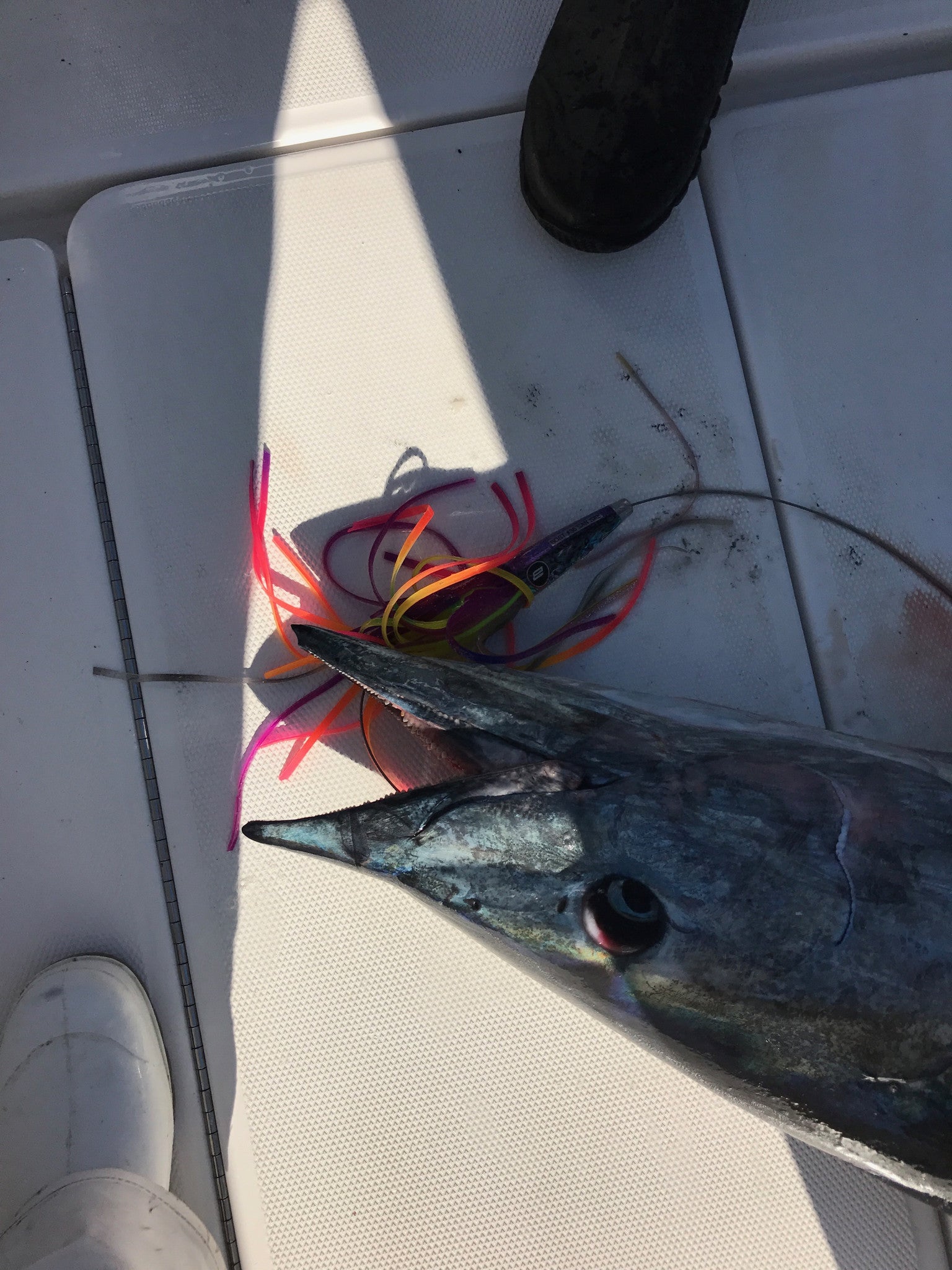 Bost High Speed Wahoo Lure Pack Light Tackle - BostLures
