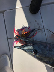 Bost High Speed Wahoo Lure Pack Light Tackle - BostLures