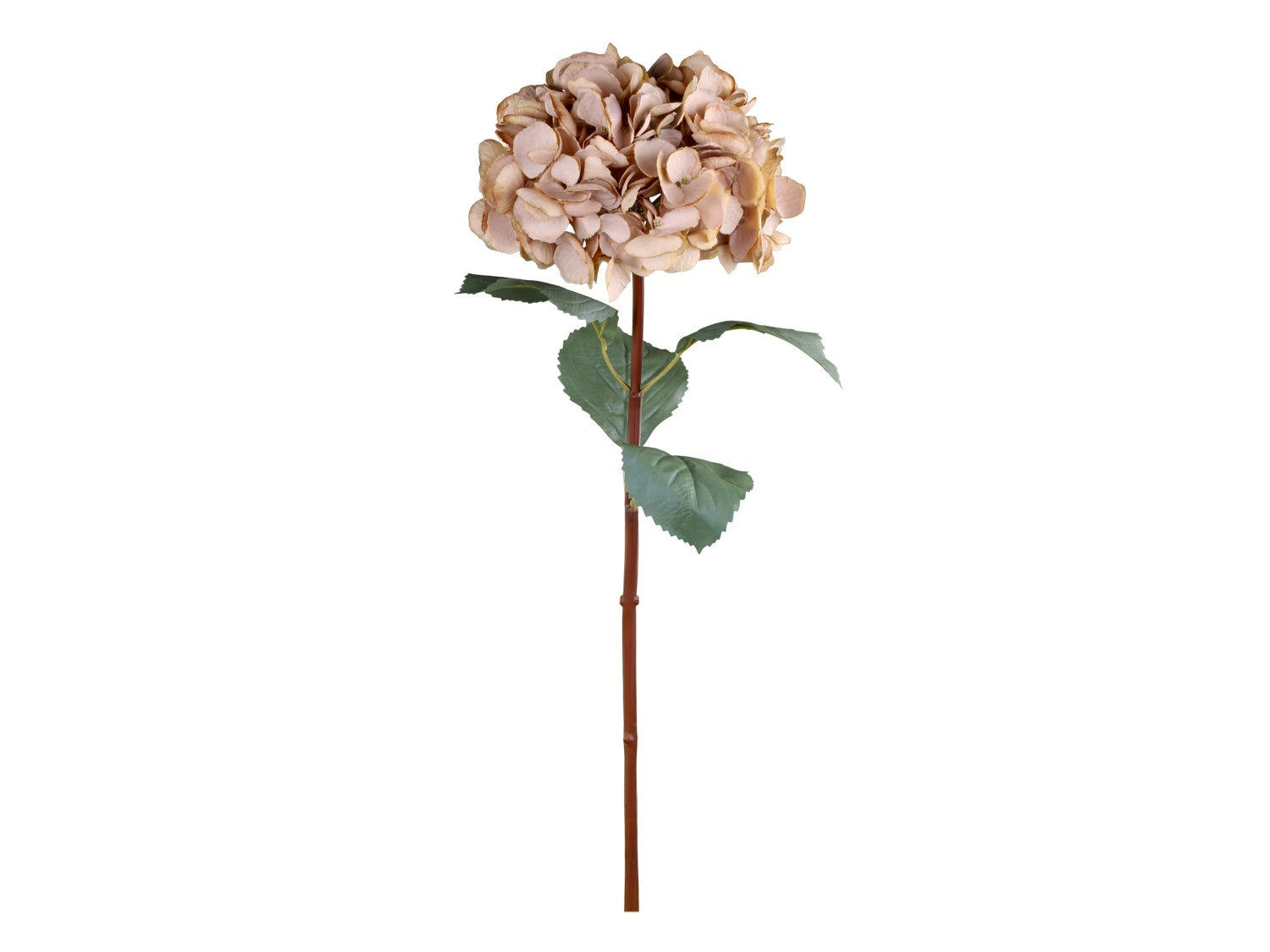 Kunstig Hortensia 80 cm Beige - Chic Antique Fleur Chic Antique