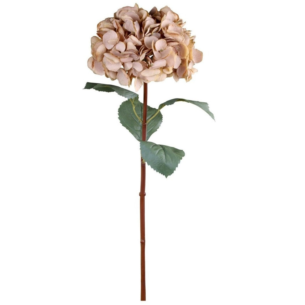 Kunstig Hortensia 80 cm Beige - Chic Antique Fleur Chic Antique