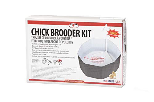 Little Giant® Chick Brooder Enclosure | Setup for Raising and Brooding Chicks | Poultry Brooder Box