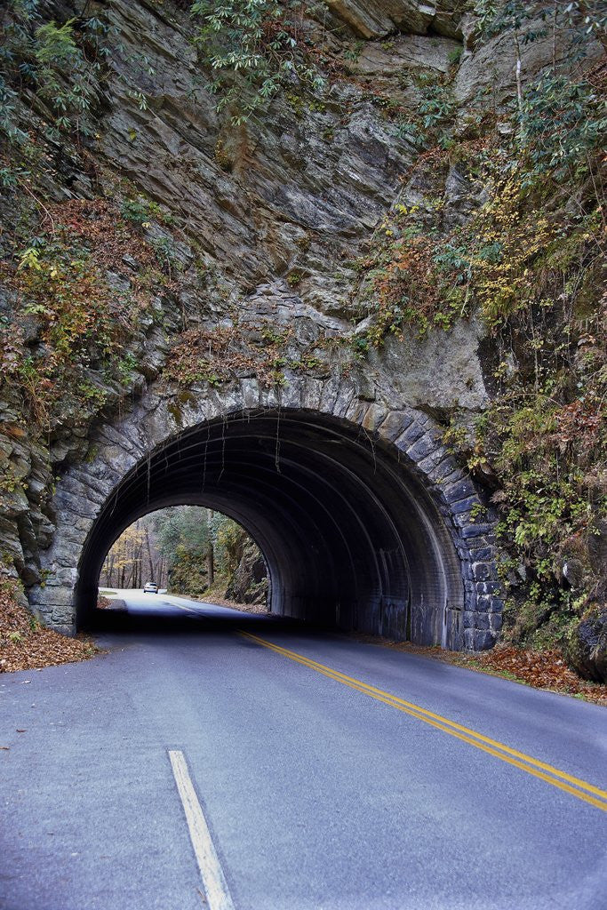 Blue Ridge Mountains, Great Smoky Mountains National Park, USA