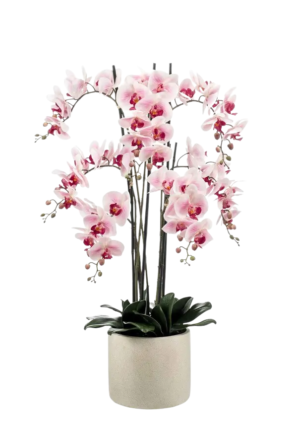 Künstliche Orchidee - Leo, 100 cm, Kunstblume von aplanta, inkl. Dekotopf, in Natur, für drinnen
