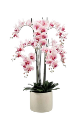 Künstliche Orchidee - Leo, 100 cm, Kunstblume von aplanta, inkl. Dekotopf, in Natur, für drinnen