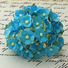 Wild Orchid - Sweetheart Blossom - Turquoise 