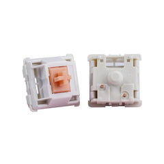 ROZELLA HOME Holy Panda Mechanical Keyboard Switch, 3Pin, 67g Extended Spring, Enhance Tactile Plate Mounted MX Switch(70 Pack)