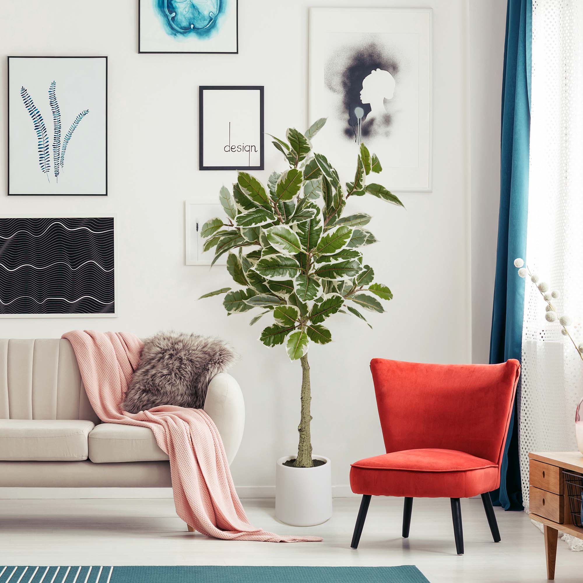 Realistic Artificial Variegated Rubber Tree Faux Plant in a White Pot for Indoor Living Room or Office - 60", Botanica Home artificial plant decor, green, iron, for plant lovers, gardeners, botanists, and home designers.