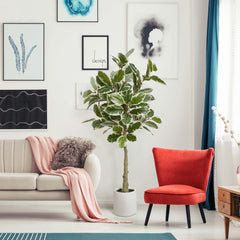 Realistic Artificial Variegated Rubber Tree Faux Plant in a White Pot for Indoor Living Room or Office - 60", Botanica Home artificial plant decor, green, iron, for plant lovers, gardeners, botanists, and home designers.