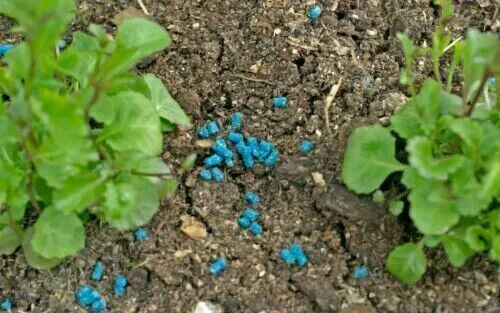 DOFF SLUG AND SNAIL KILLER SHOWERPROOF SLUG KILL ORGANIC PELLETS 800GM,400GM