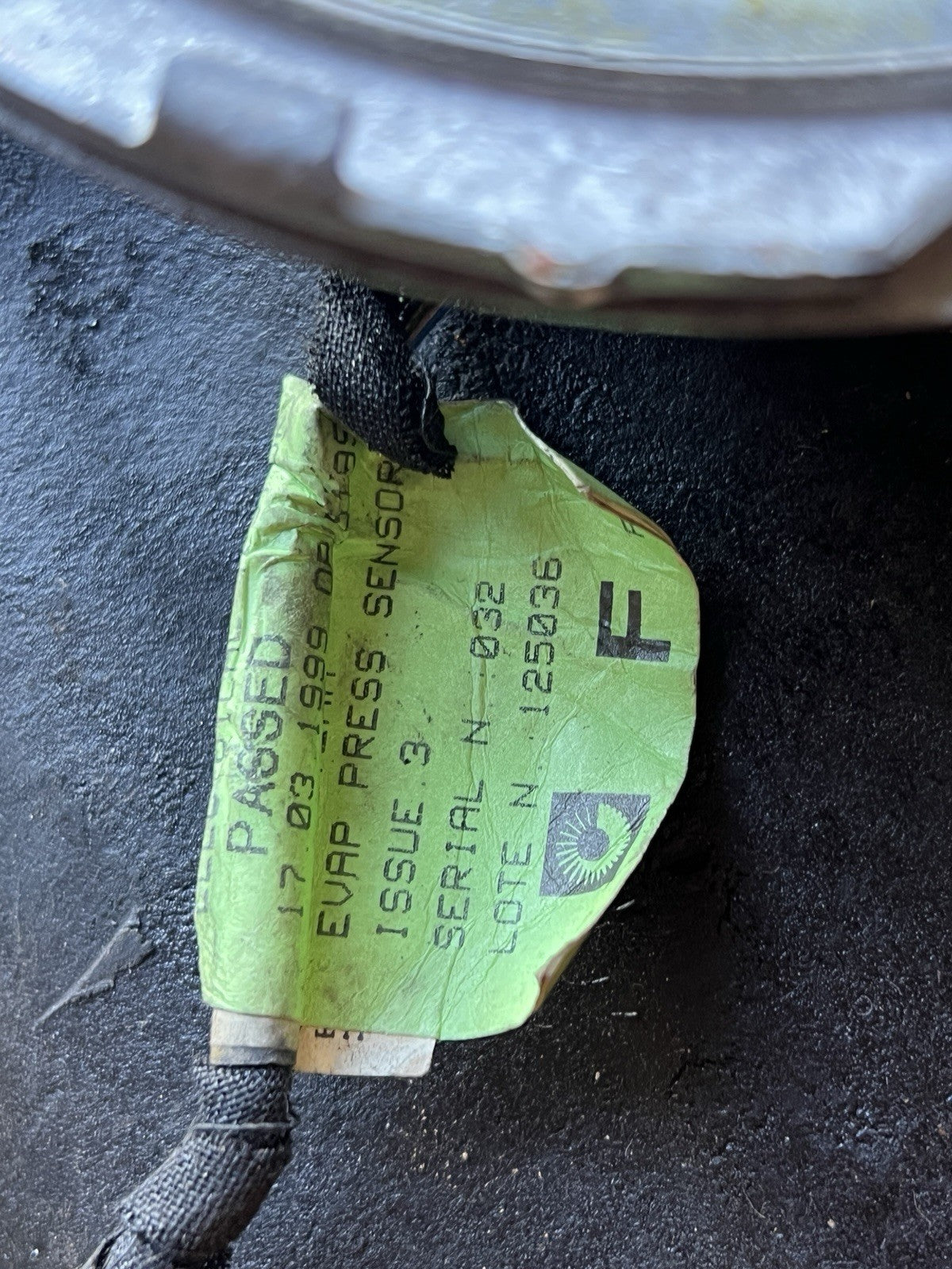 44463405