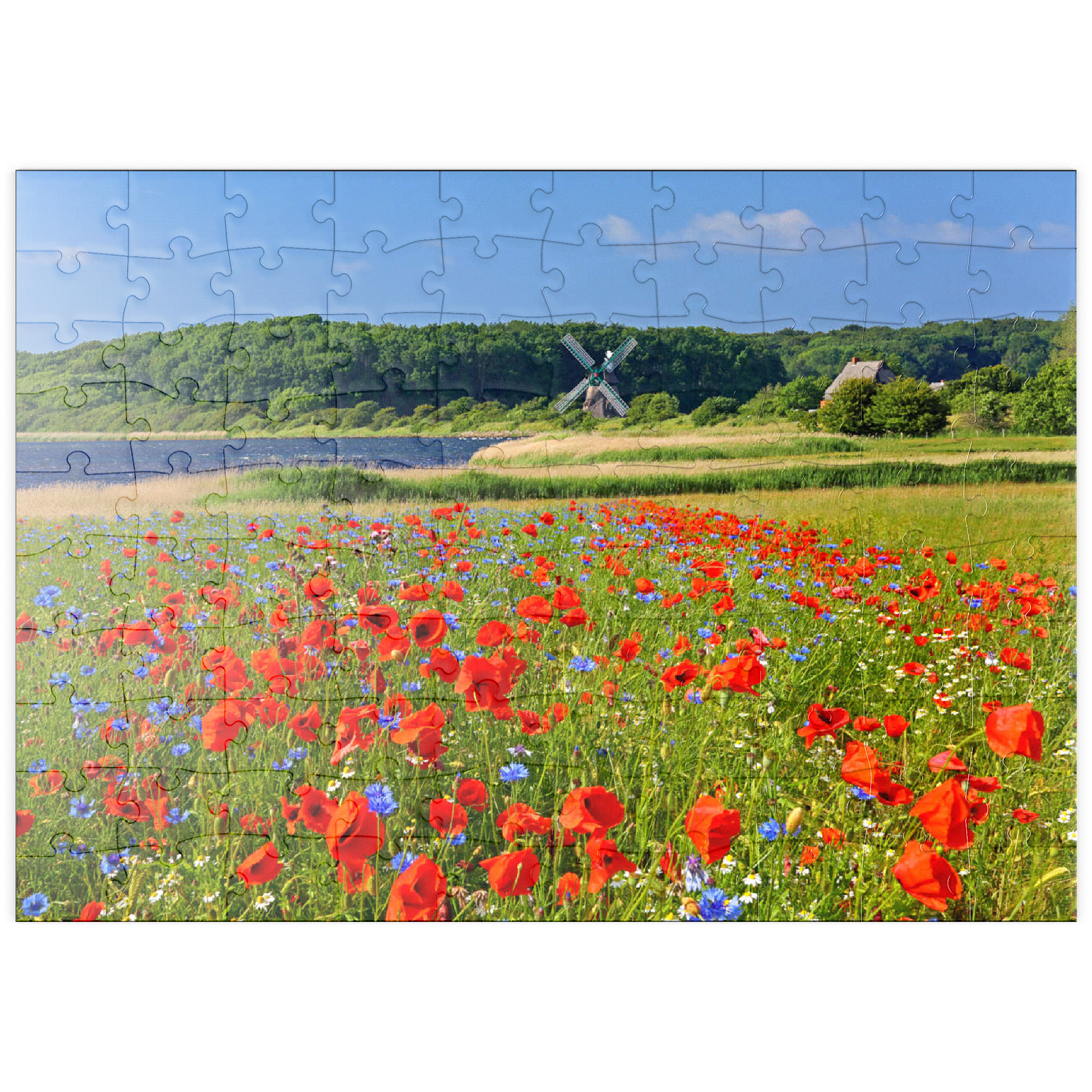 puzzleplate Mohnblumenfeld mit Blick zur Windmühle Charlotte in der Geltinger Birk, Geltinger Bucht 100 Puzzle