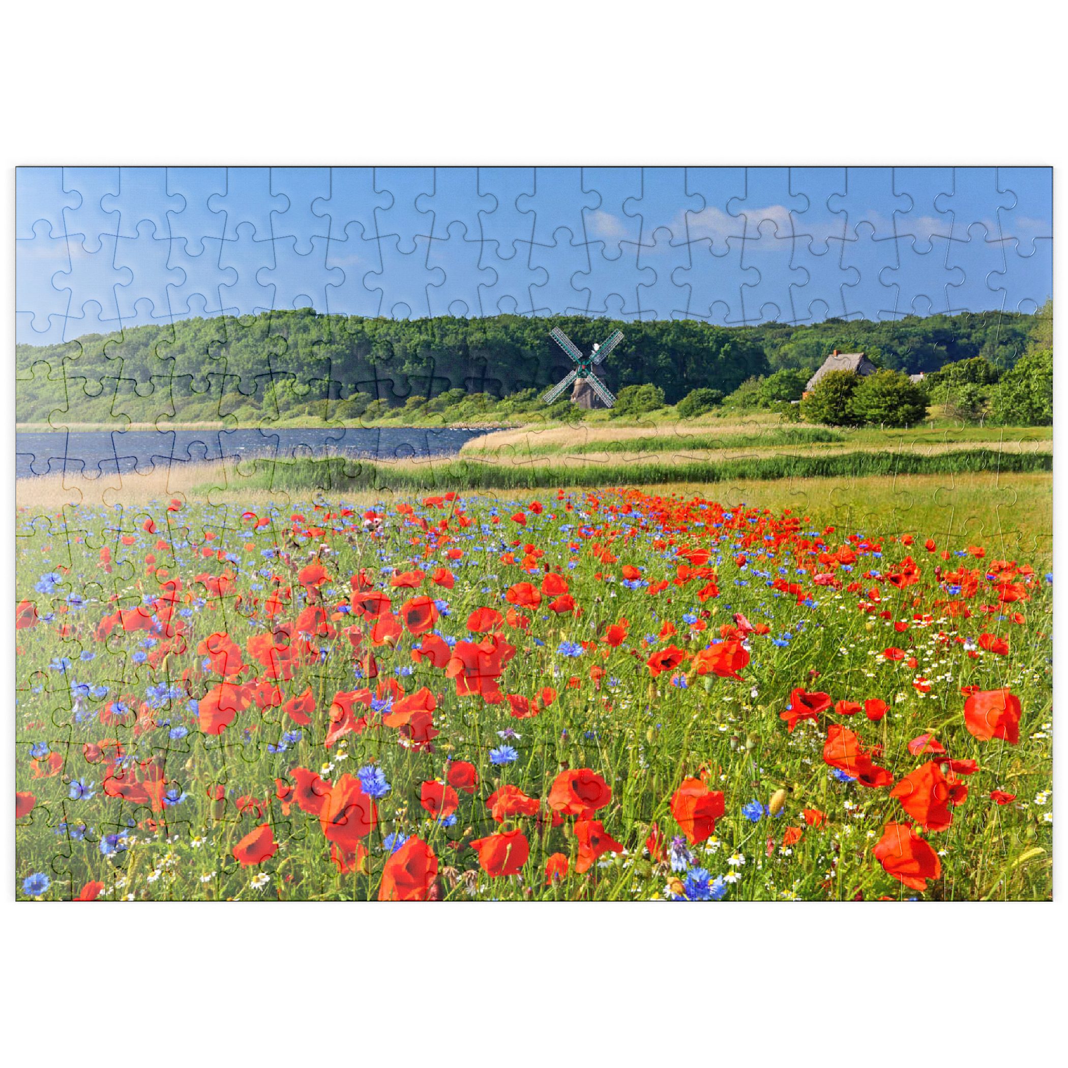 puzzleplate Mohnblumenfeld mit Blick zur Windmühle Charlotte in der Geltinger Birk, Geltinger Bucht 200 Puzzle