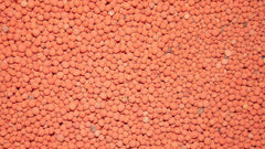 Antler King Honey Hole Mix Deer Food (Plants 1/2 Acre) -3 LB