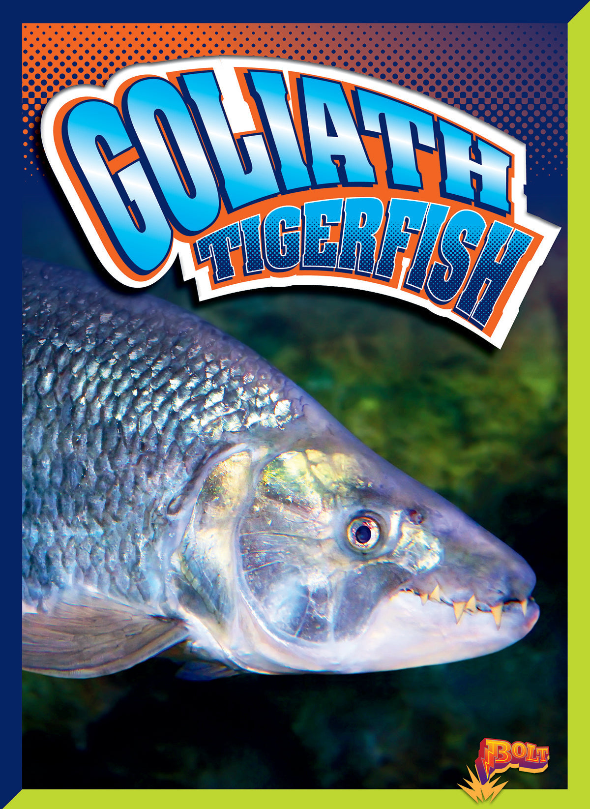 Goliath Tigerfish by Black Rabbit Books Books