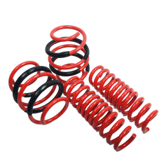 AST Lowering Springs- Toyota LandCruiser Prado (90 Series)