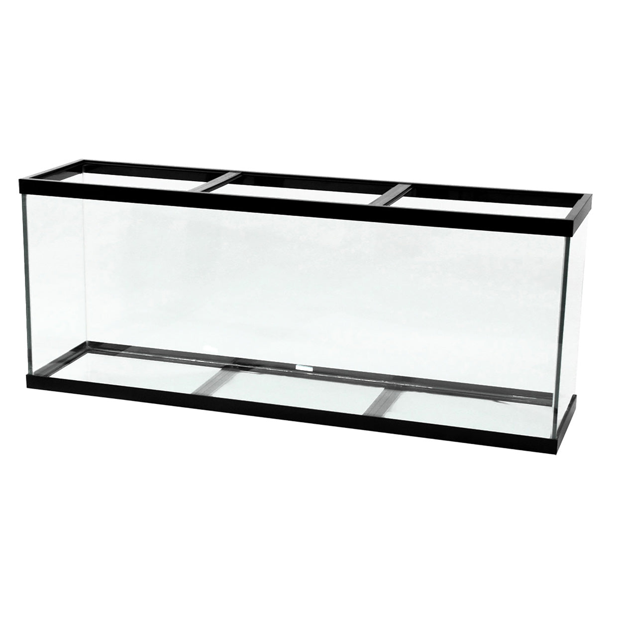Aqueon | Aquarium Noir (150 Gallons) (72"x18"x30")