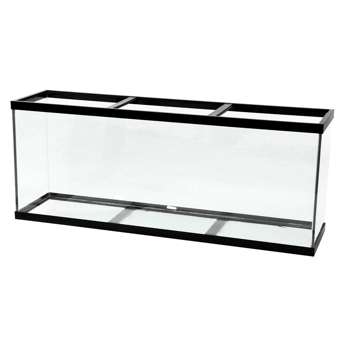 Aqueon | Aquarium Noir (150 Gallons) (72"x18"x30")