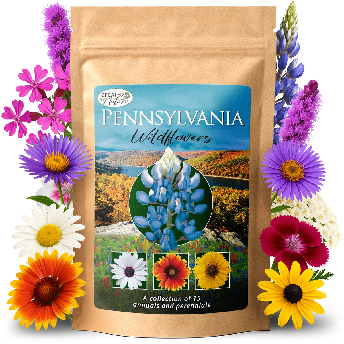 Pennsylvania Wildflower Seed Mix