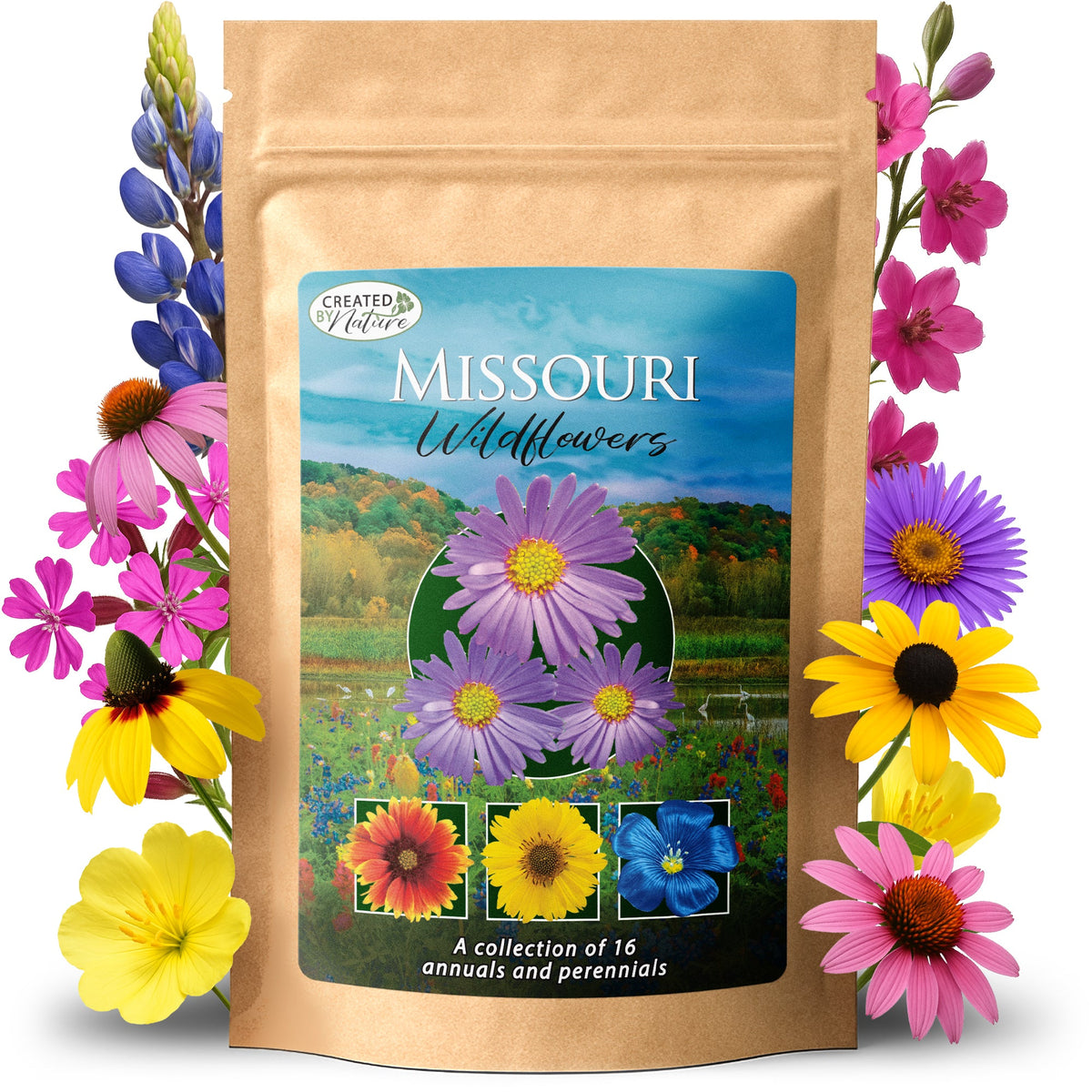 Missouri Wildflower Seed Mix