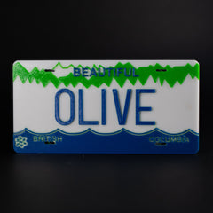 Replica BC License Plate