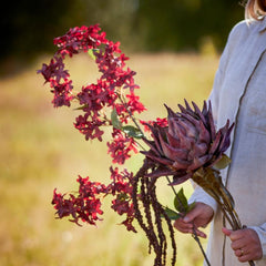 Kunstig Protea Stilk - Lilla - Bloomingville