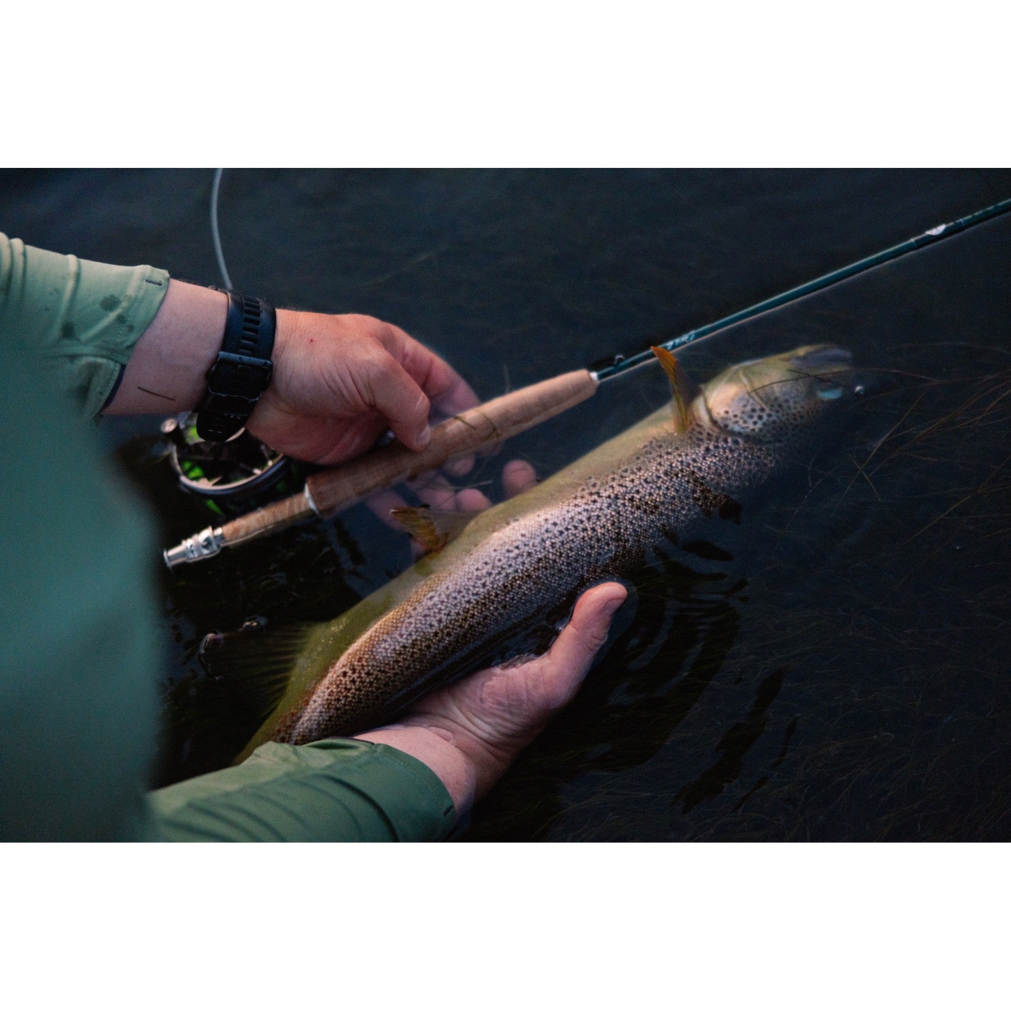 Winston Winston Pure 2 5WT 9'.
