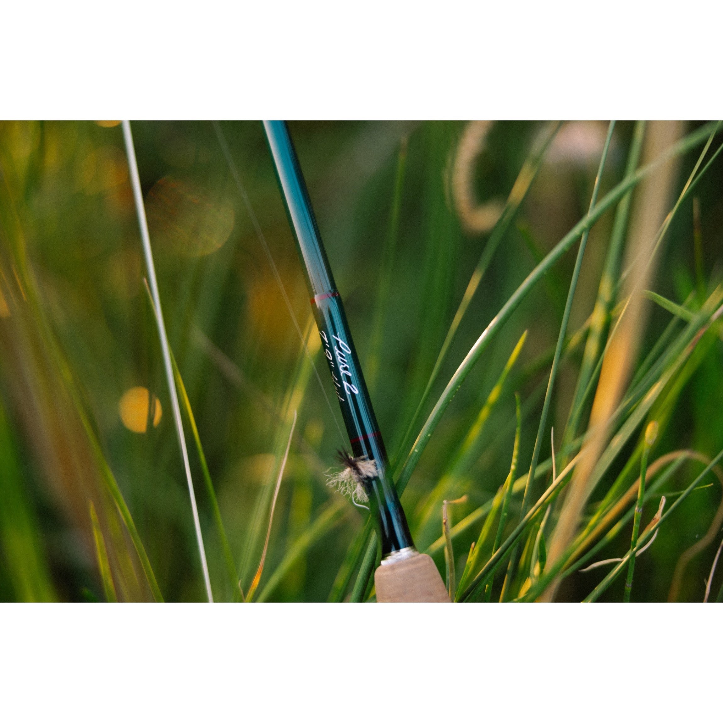 Winston Winston Pure 2 5WT 9'.