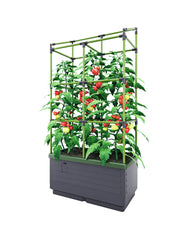 City Jungle Raised Bed Planter Box with Trellis