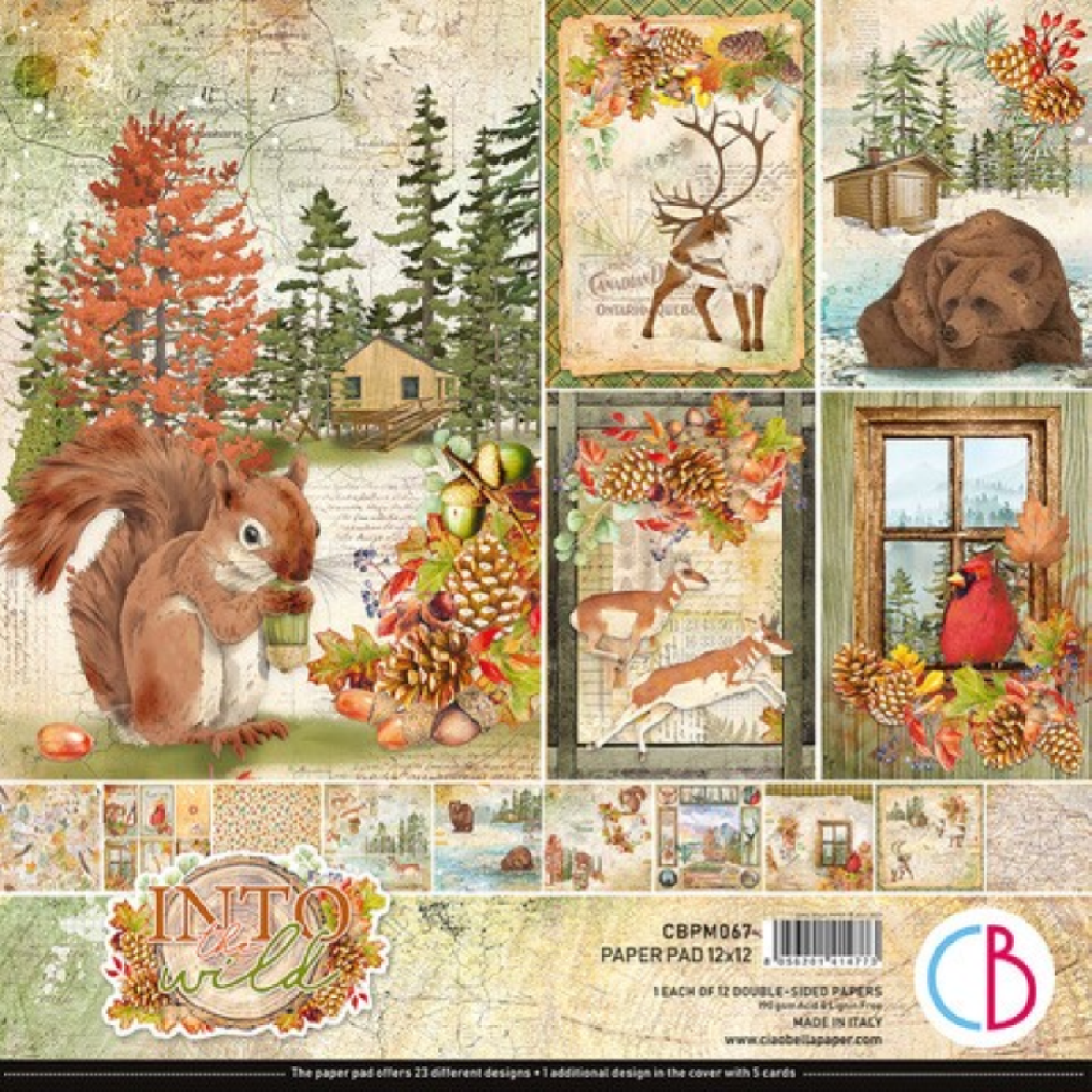 Ciao Bella Into The Wild 12" x 12" Scrapbooking Paper Set