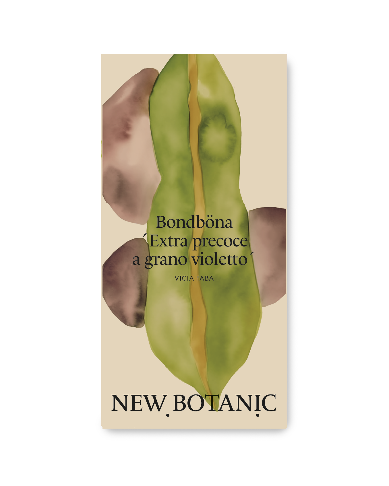 Bondböna 'Extra precoce a grano violetto' - Nyhet!