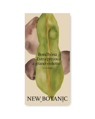 Bondböna 'Extra precoce a grano violetto' - Nyhet!