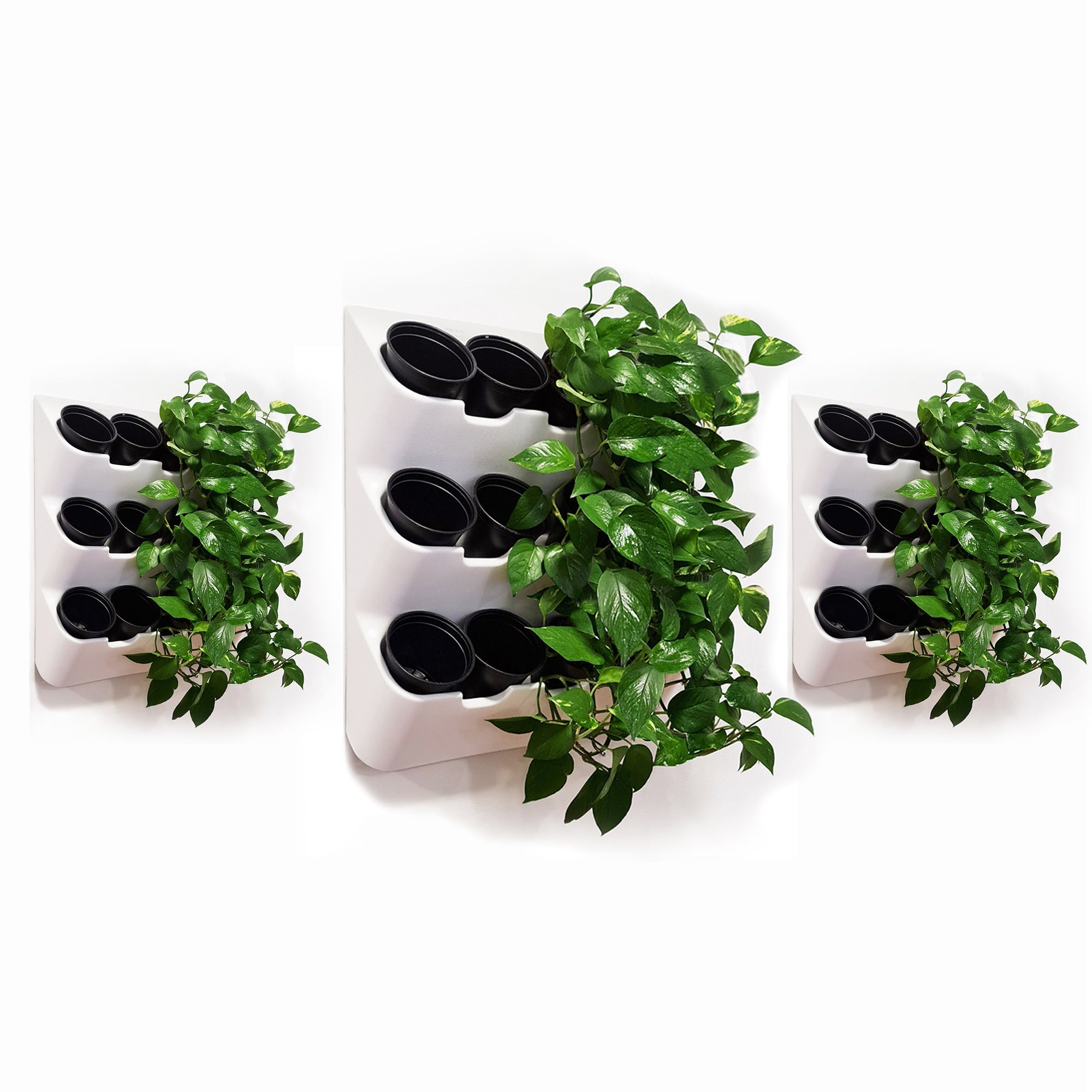 BOXSAND-36 Vertical Wall Planter Set of 3 (24"x74") – Living Wall Planters for 36 Plants, Indoor/Outdoor Vertical Garden System, Easy 6-Screw Install (White with Black Pots)