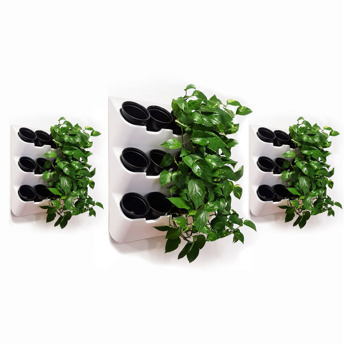 BOXSAND-36 Vertical Wall Planter Set of 3 (24"x74") – Living Wall Planters for 36 Plants, Indoor/Outdoor Vertical Garden System, Easy 6-Screw Install (White with Black Pots)