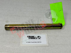 Picture of PA0250239F92, a  NEW PIN.
