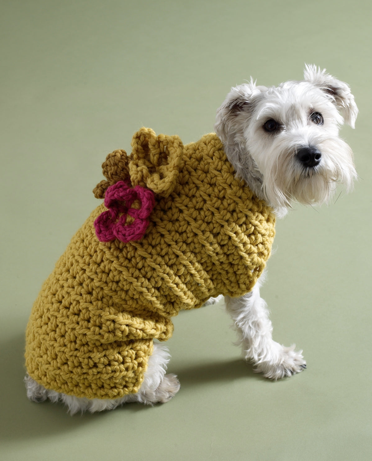 Flower Garden Dog Sweater Pattern image 1