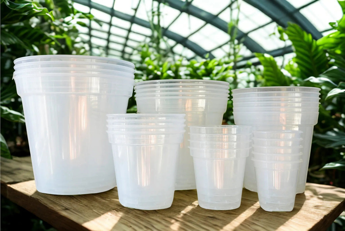 Clear Plastic Pots Hive Plants