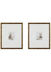 Devyn Framed Art (Set of 2)