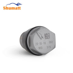 China Made New Common Rail pressure relief valve pressure limiting valve 1110010013