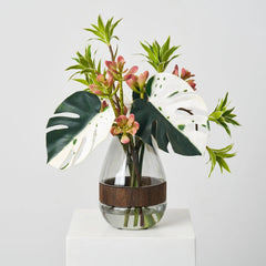 Tropical Muse - Green Albino Monstera Leaf, Dracaena & Succulent in Smoke Wood Vase Everyday Water Illusion Centerpiece Arrangement - Darby Creek Trading