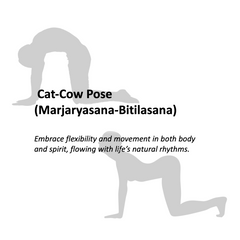 FLOW STATE - Cat-Cow Pose (Marjaryasana-Bitilasana) - Yoga Crystals Rox Box Collection