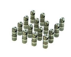 EFI Hyd. Roller Lifters 