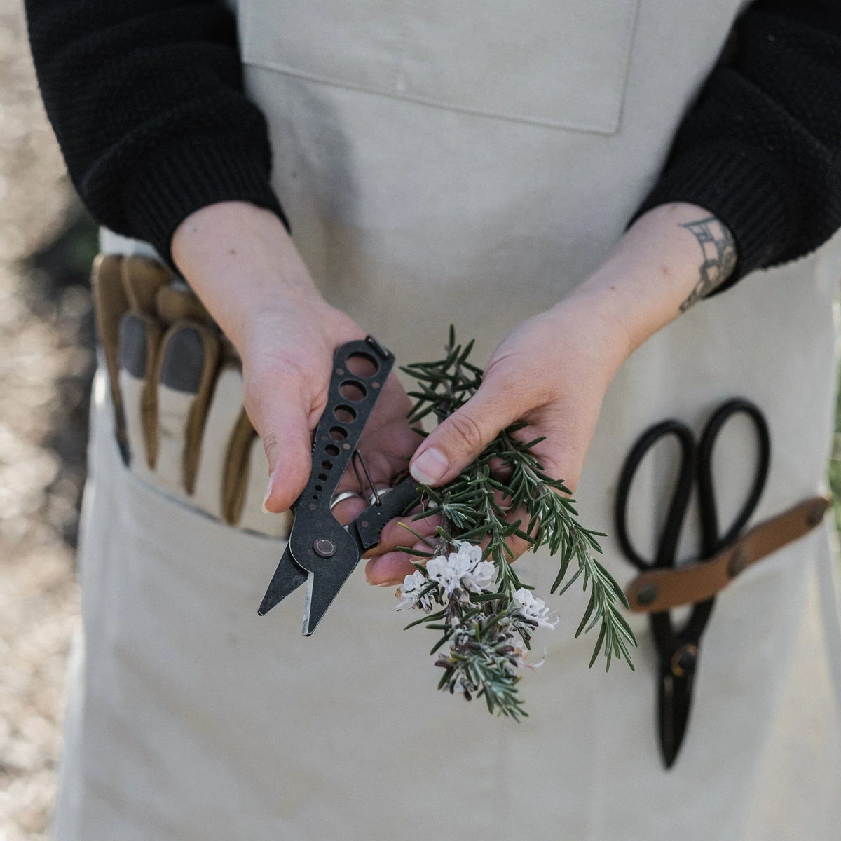 Herb Harvest Strip Tool