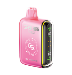 GEEK BAR PULSE BEST DISPOSABLE VAPE