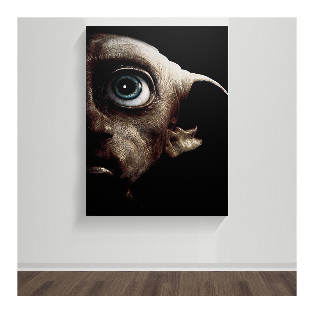 Harry Potter, Dobby 23