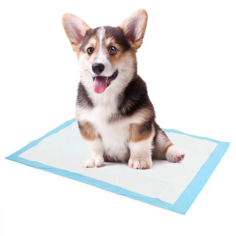 Engangs tisseunderlag - 20stk - GodHund