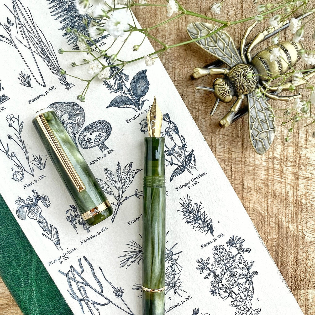 Palm Green JR