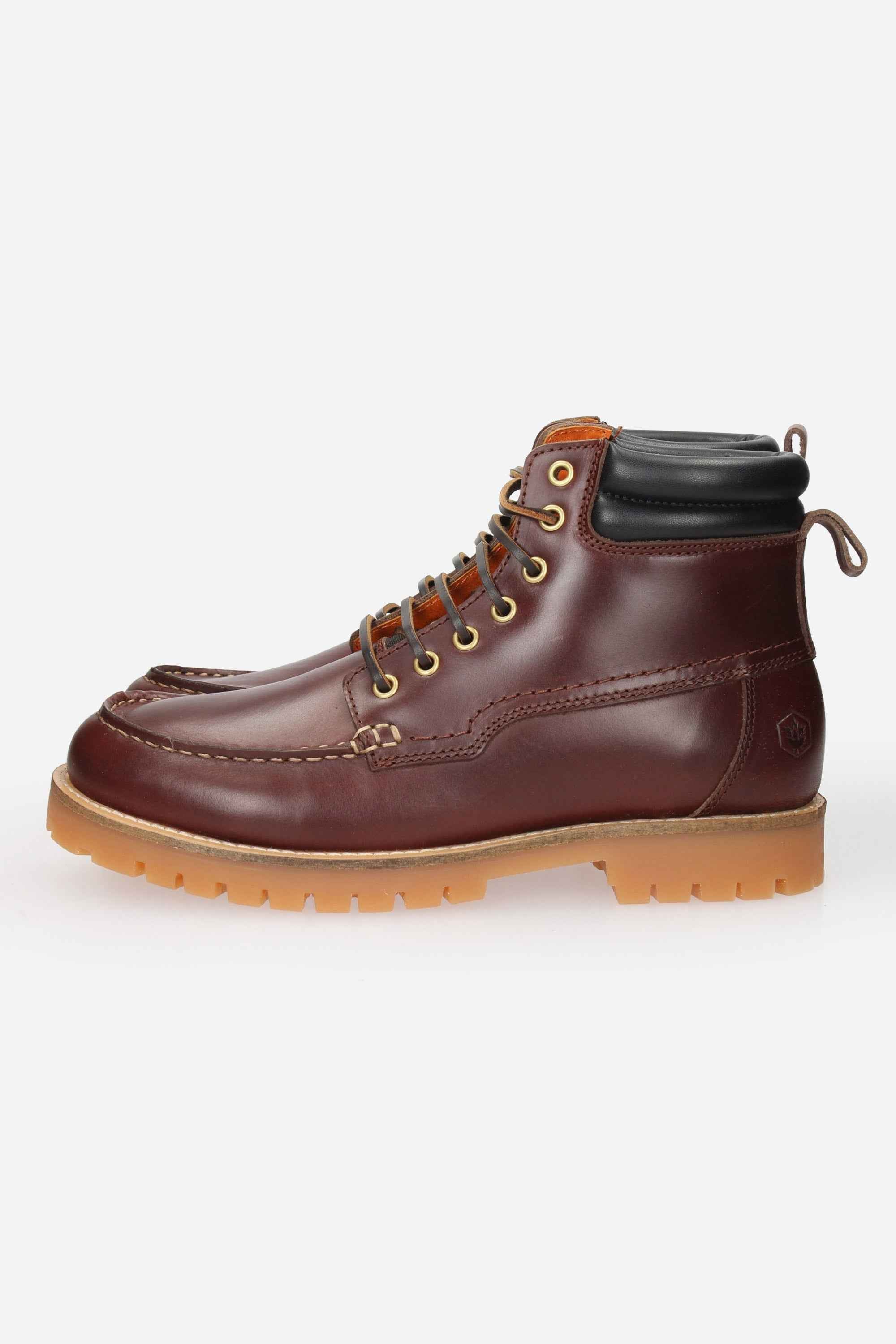LUMBERJACK - U 102217658 Anfibio