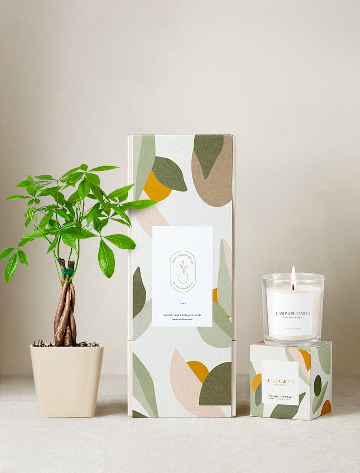 Plant next to gift box and candle.
