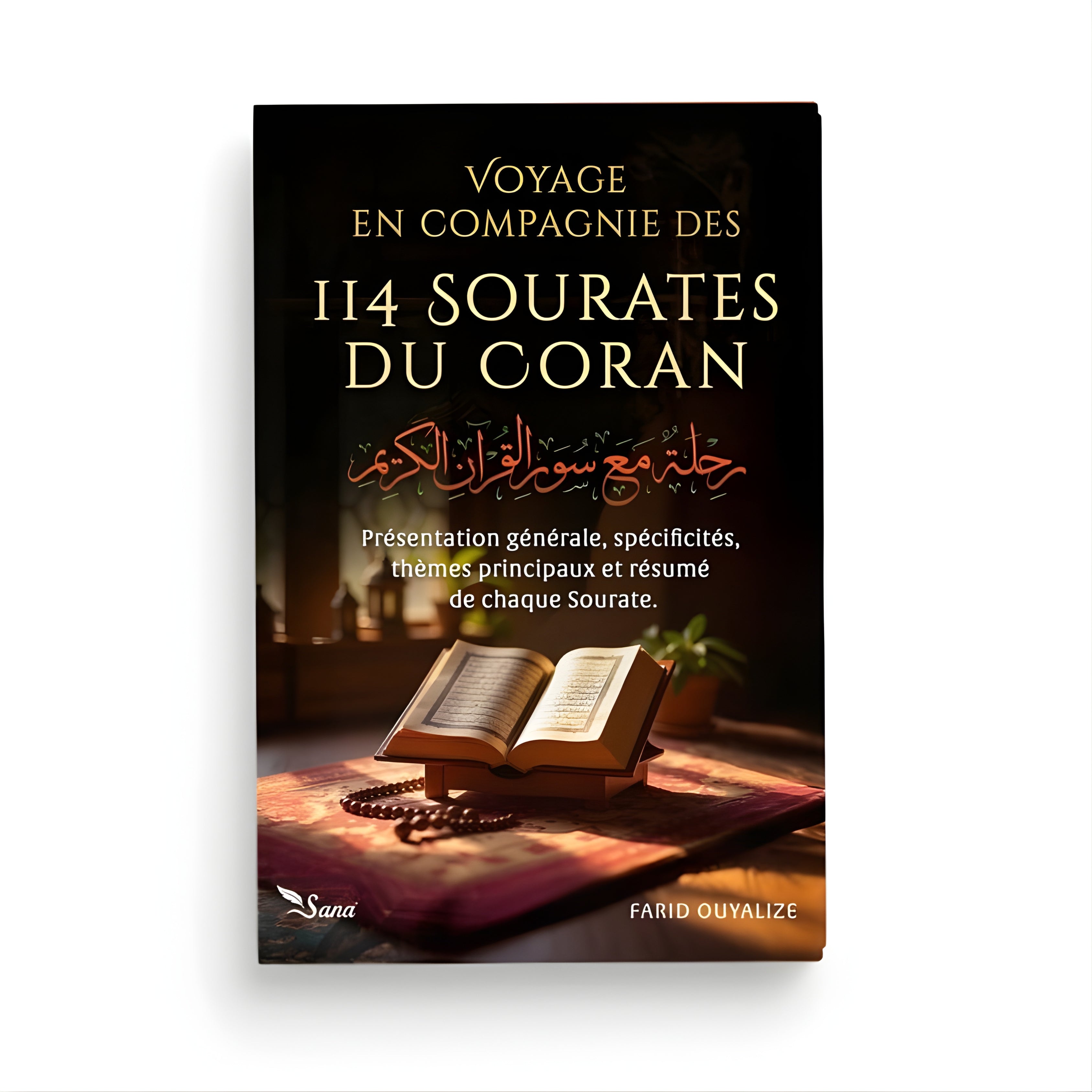 Voyage en compagnie des 114 sourates du Coran